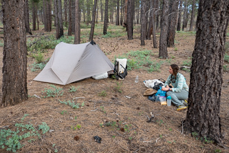 Our camp at Stave Spring trailhead