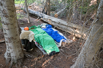 Camp in Gardner Meadows