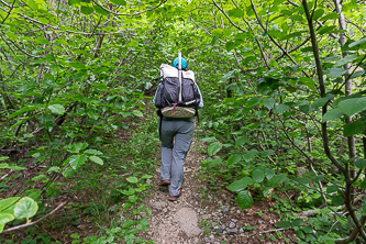 Rock Run trail