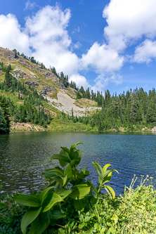 Margaret Lake