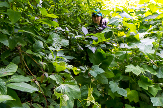 Brush on Indian Creek Trail stained our clothing green.