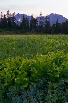 Blue Peak and Johnson Mountain from the Indian Pass campsite