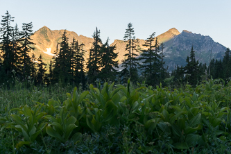 Blue Peak and Johnson Mountain from the Indian Pass campsite