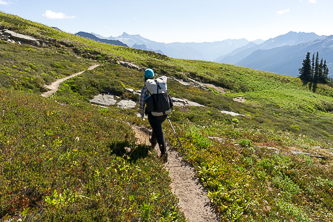 Foam Creek Trail