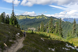 Grassy Point over the PCT