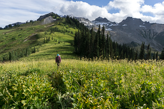 On the ridge to Grassy Point