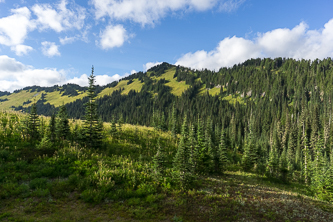 Grassy Point