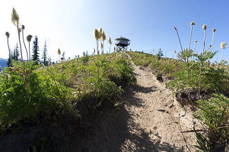 Miners Ridge lookout