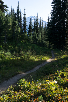 The trail to the toilet