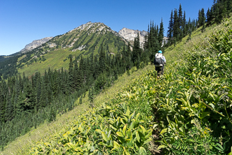 Helmet Butte from the Liberty Cap Trail