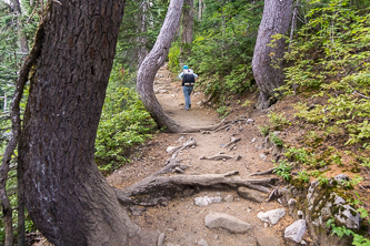 Snow Lake Trail one hour before sunset.