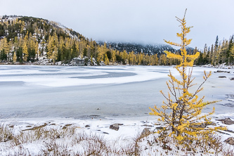 Cooney Lake