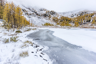 Cooney Lake