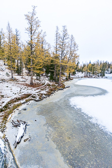 Cooney Lake