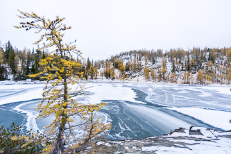 Cooney Lake