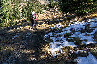 Ingalls Way Trail