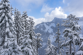 McClellan Butte