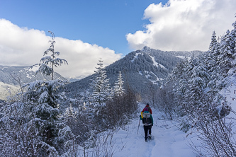 McClellan Butte