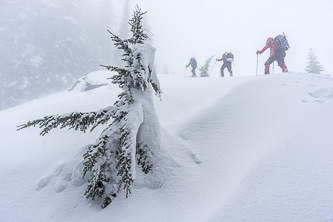 On Moolock Mtn's east ridge