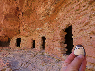 The Nankoweap granaries and Tapeats, the hedgehog floss container