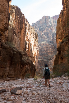 Parashant Canyon