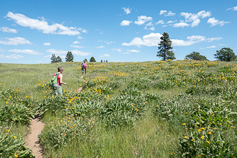 Approaching the summit of Marsh Hill