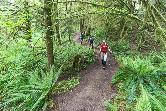 The CCC Trail