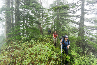 On the SE ridge of Bessequartz Mtn