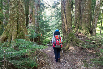 Weden Creek Trail