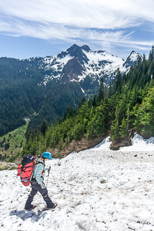 An avalanche chute.  Silvertip Peak in the background