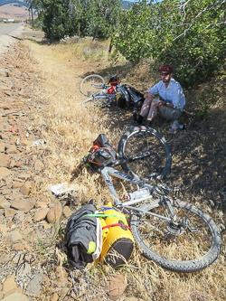 Lunch in a shady ditch