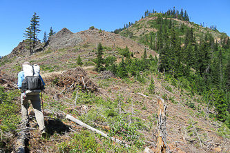 Clear cut on the County Line Trail