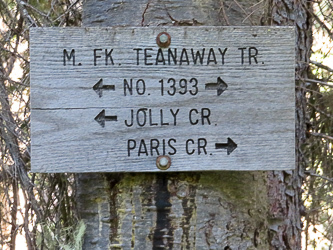 The section from Trail 1939.1 to Paris Creek Trail was very overgrown and difficult to follow.