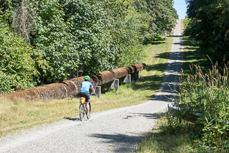 Tolt-Pipeline Trail