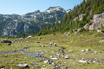 La Bohn Peak over a meadow on the west side of Dutch Miller Gap