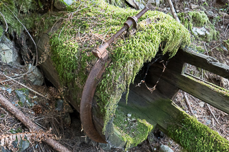 Wood culvert under the CCC Trail