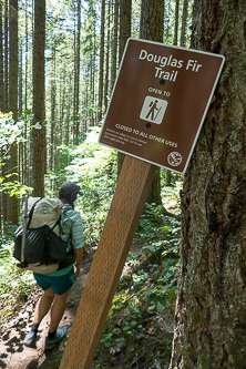 Douglas Fir Trail in the Mt Si trail network