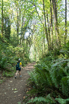 Coal Creek Park