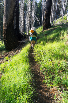 Davis Peak Trail