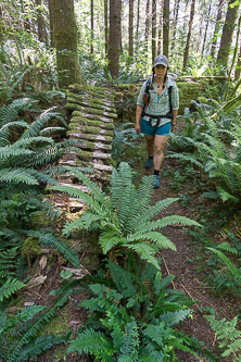 A bootleg mountain bike trail