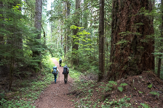 North Fork Sauk Trail