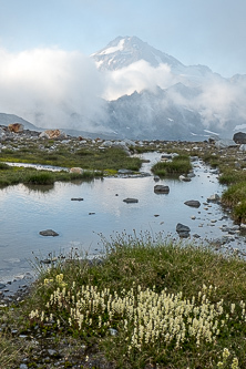 Glacier Peak