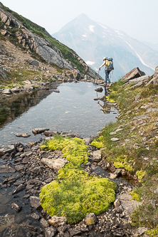 White Mountain over the outlet of lake 6,200'