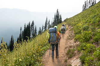 Back on the North Fork Sauk Trail