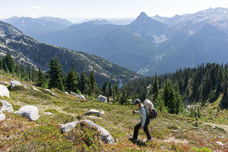 South slopes of Trico Mtn