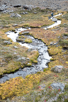 Frosty Creek