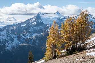 Clark Mountain