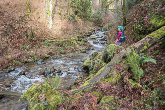 Fifteenmile Creek at the end of the trail