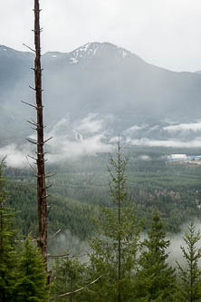 Mount Washington from Teneriffe Falls Trail