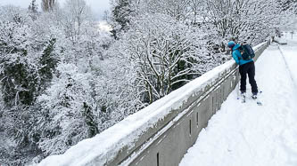 Wolf Creek Ravine bridge